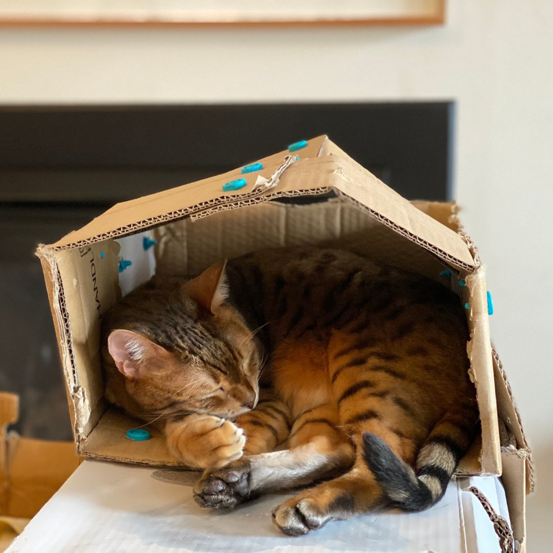  Makedo Invent  Upcycled Cardboard Construction